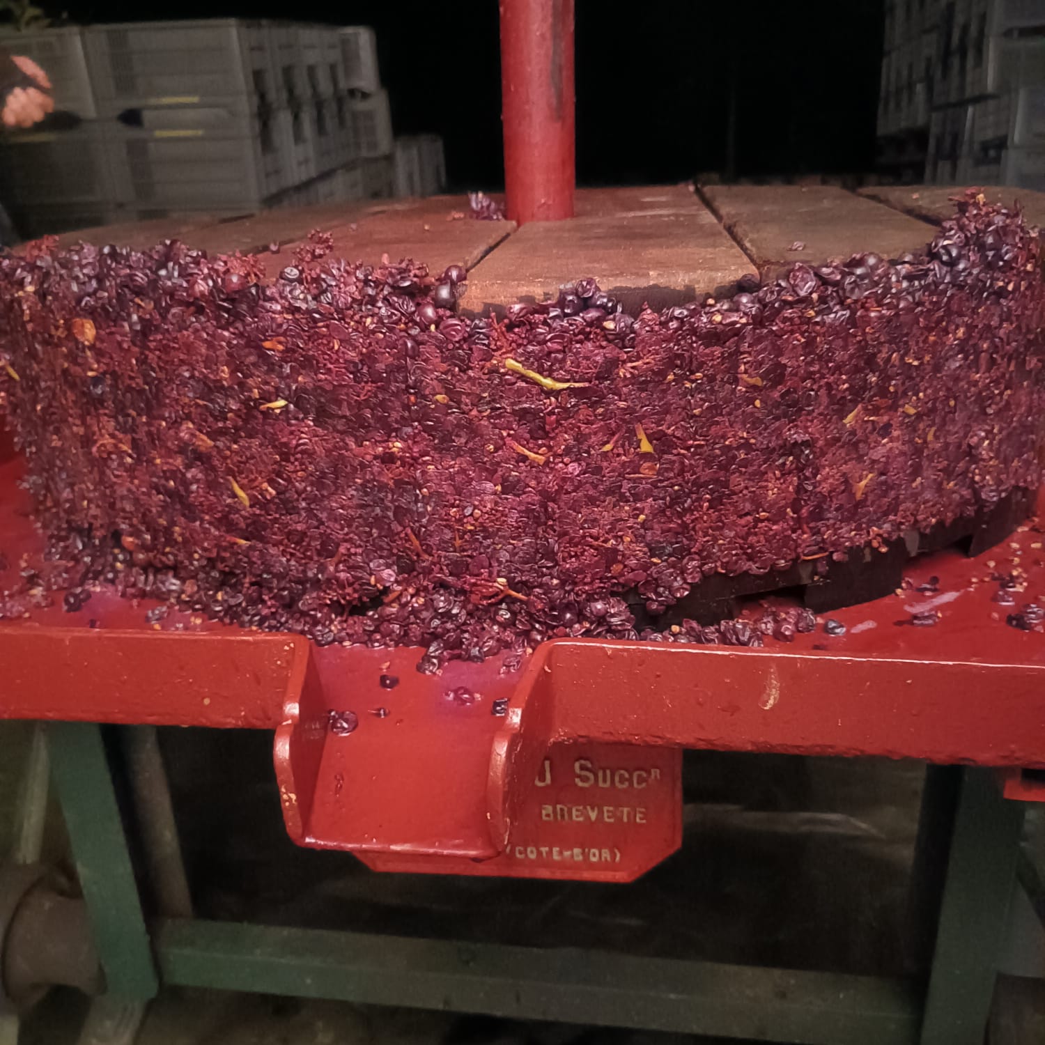 L’intérêt des cuvées parcellaires et des micro-cuvées