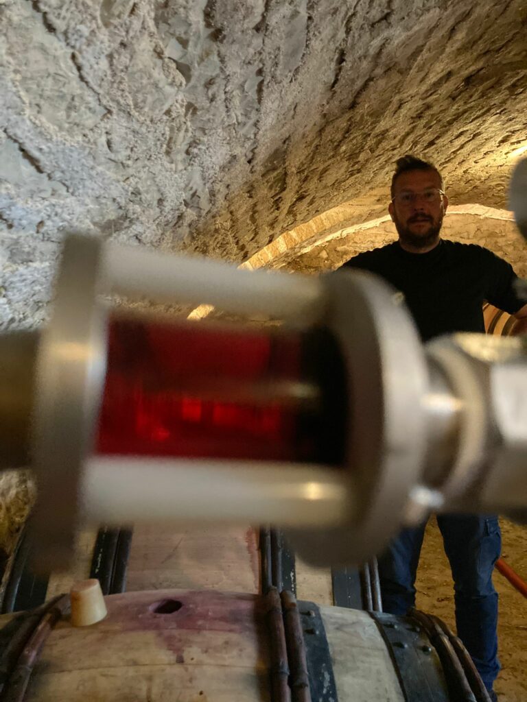 WhatsApp Image 2026-04-04 at 14.08.42 (1)