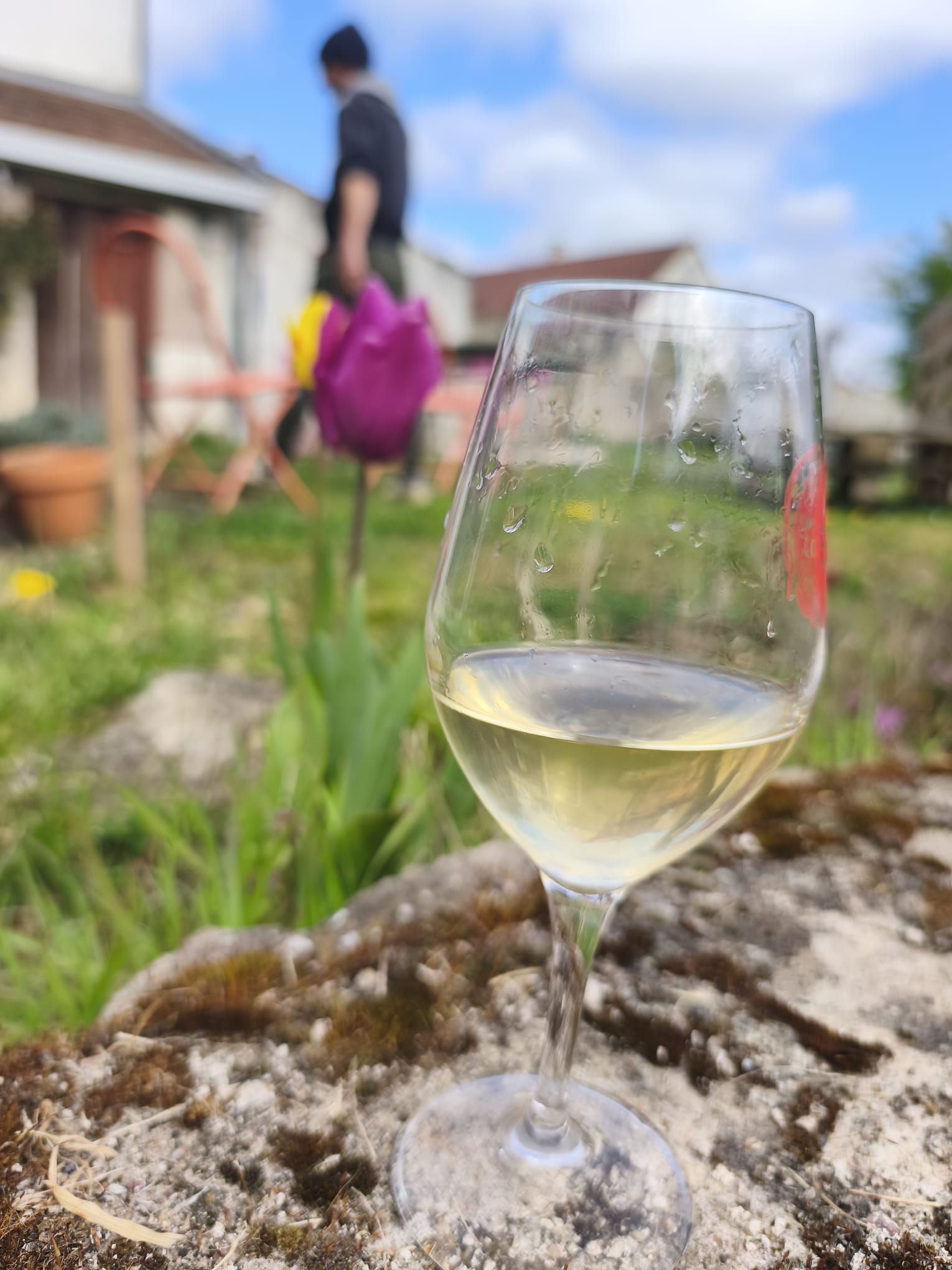 Les Cuvées de Printemps 2025 – Aligoté et Rouge – Les Jardiniers Vignerons