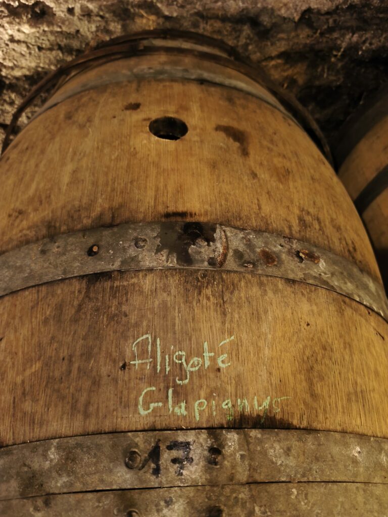 WhatsApp Image 2026-04-05 at 14.00.19 (4)