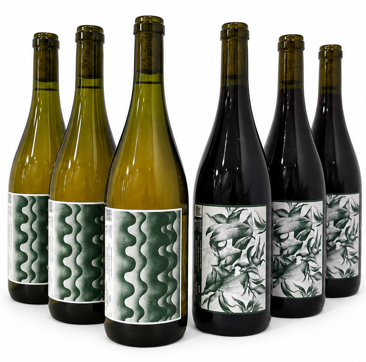 Cuvée Printemps 2025 — Carton Découverte (3 Blanc / 3 Rouge)