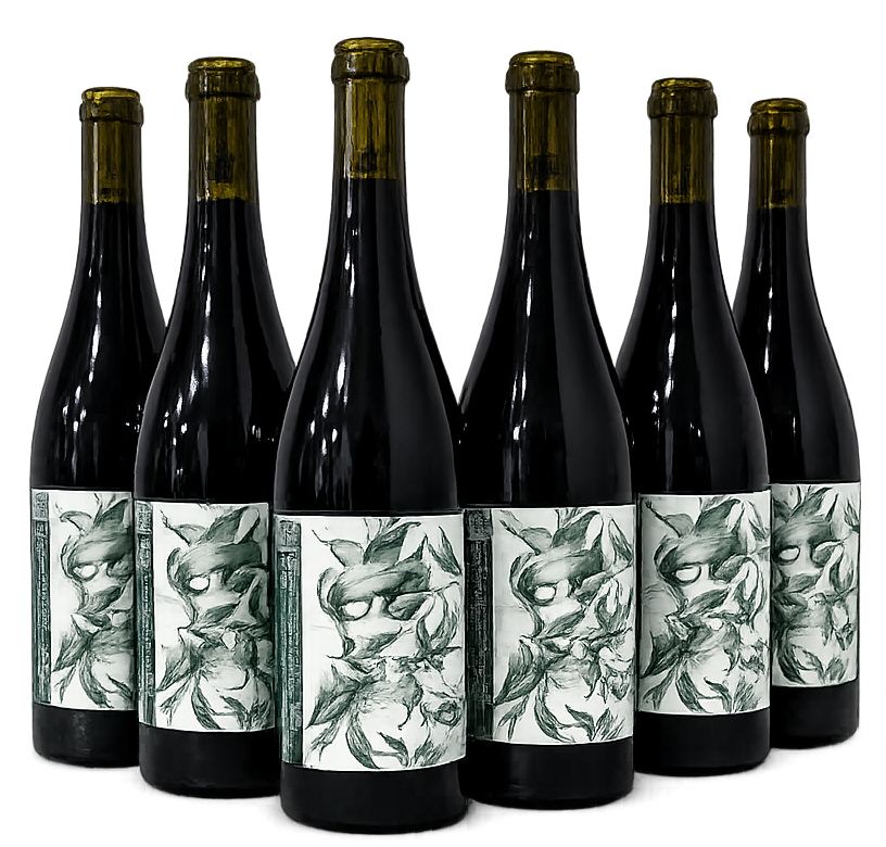 Cuvée Vin de France Rouge 2025 — Carton de 6